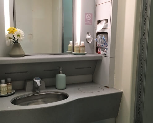 14-44 Lavatory, wild - Center (NS), sink and vanity c