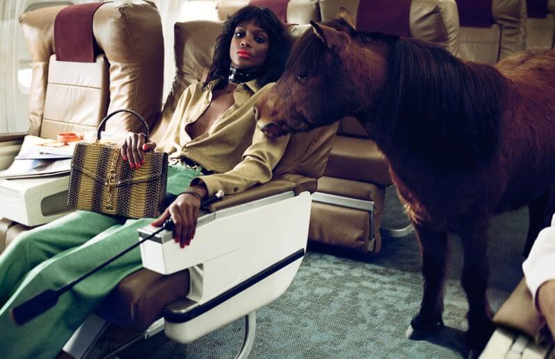 A Gucci Model, a Horse, and a Plane…